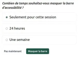 Masquer l'outil d'accessibilité